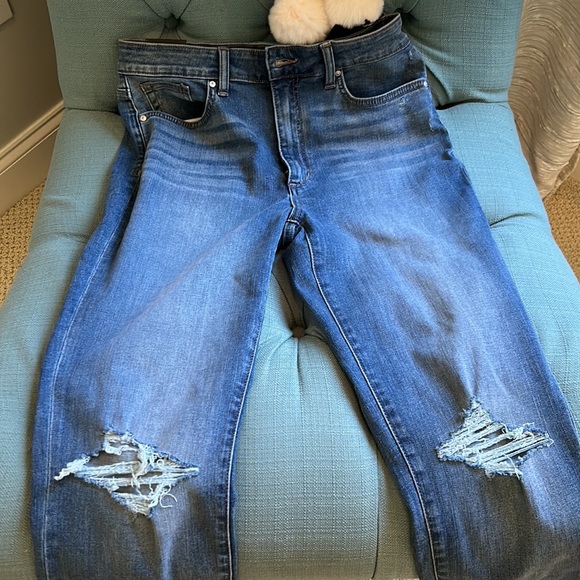 Joe’s Jeans High Rise Straight Ankle - Picture 6 of 6